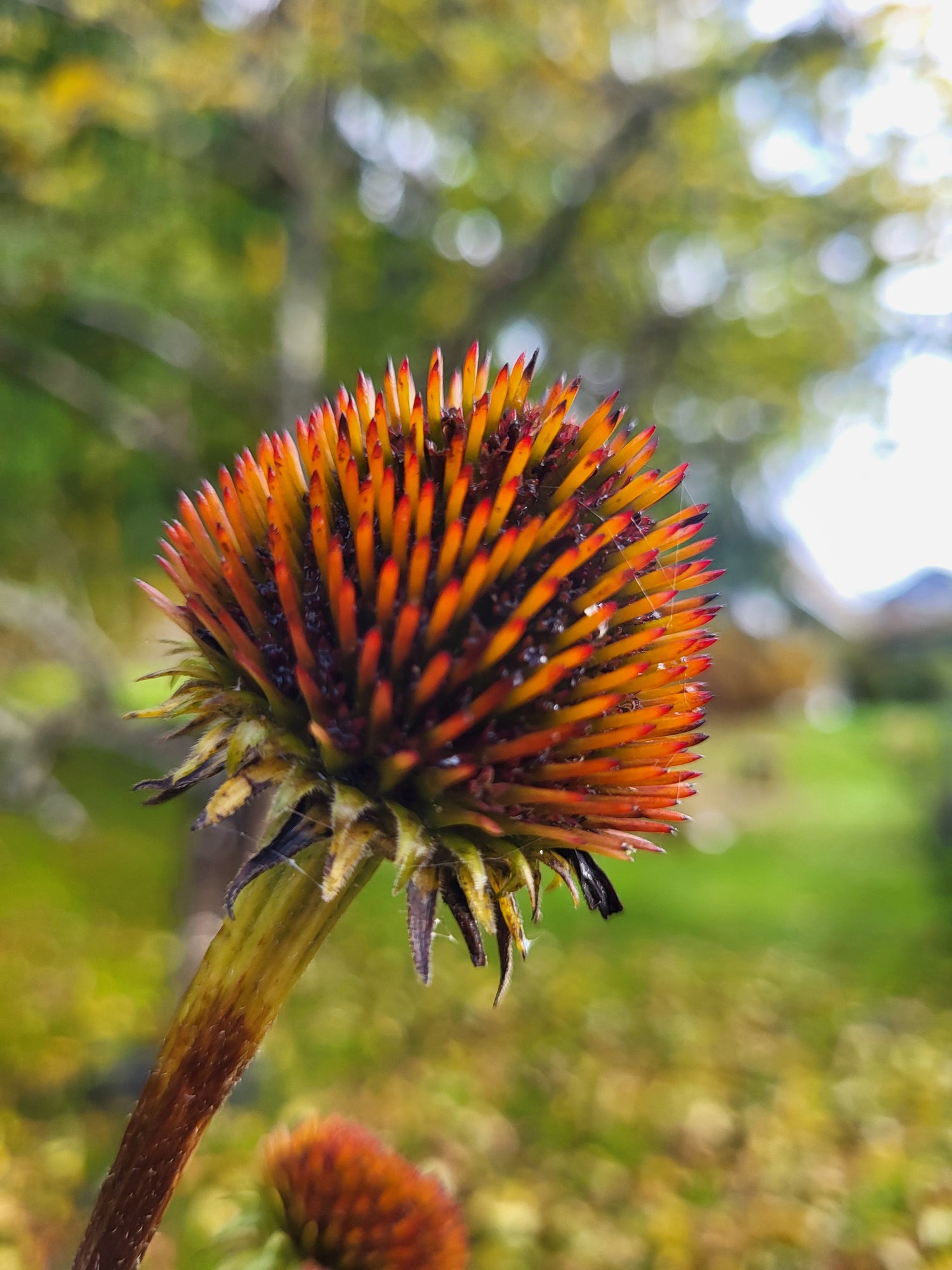 Utstyr til ull og garn