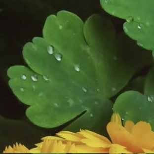 Strikketilbehør og knapper